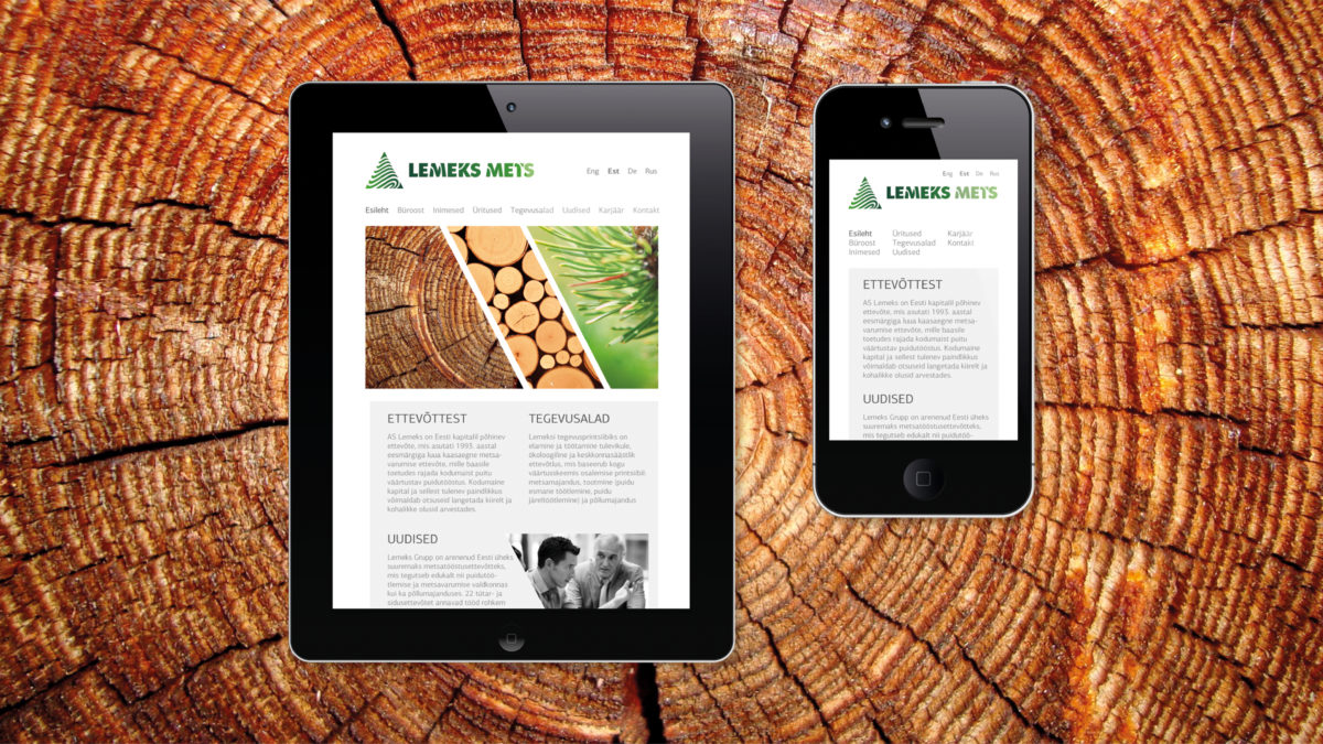 This project involved a new visual identity for the domestic forest and timber industry flagship company Lemeks.